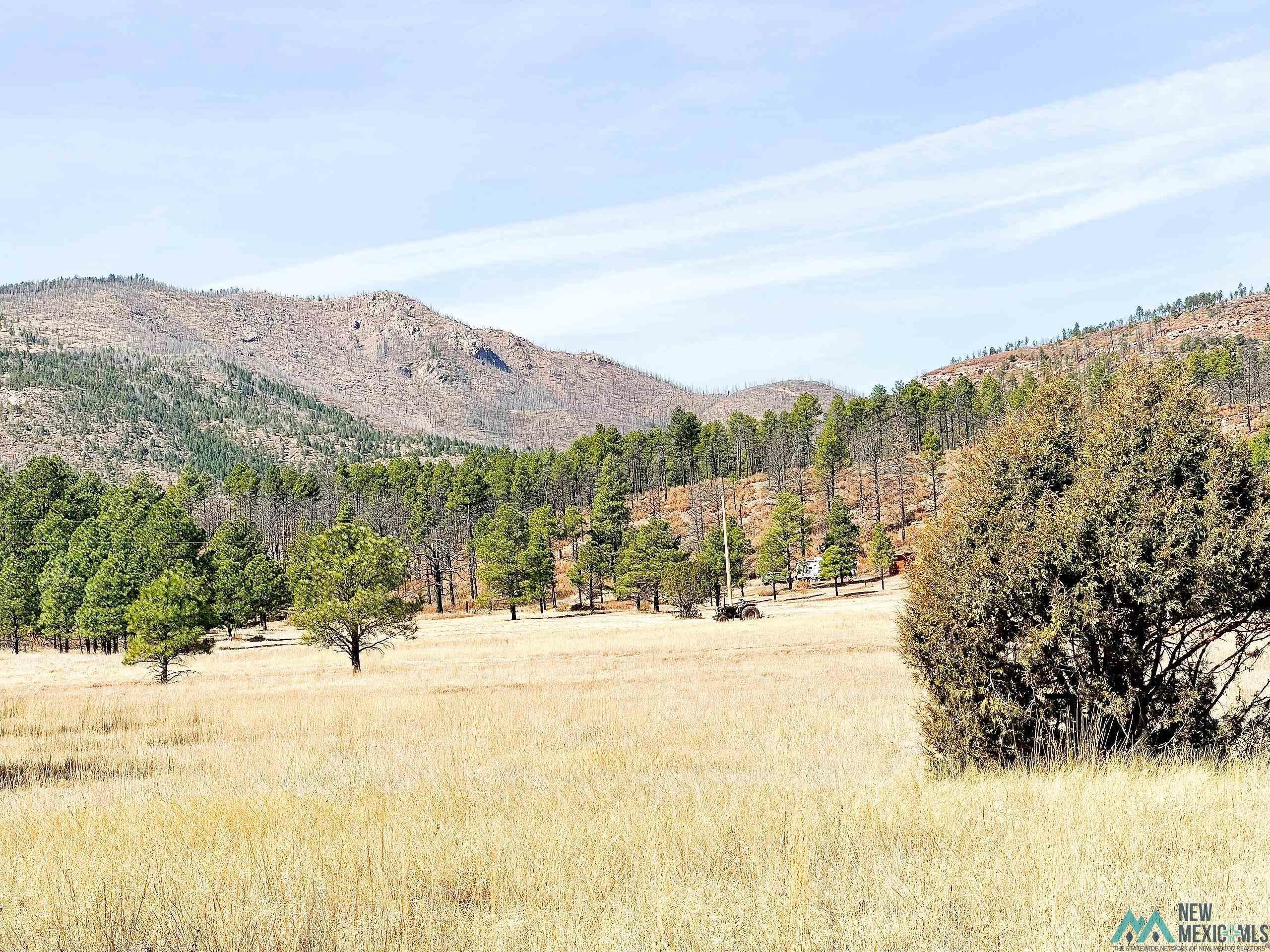 80 Acres in Las Vegas, NM