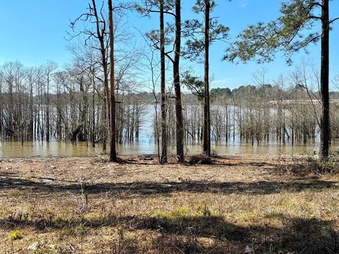 Land, Broaddus, TX