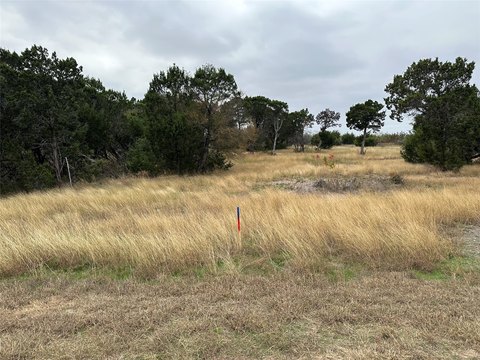 Undeveloped Lot in Gated Community