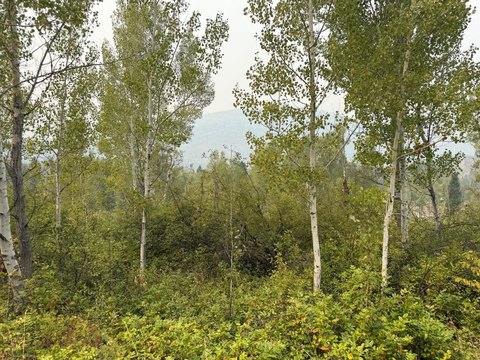 LAND - COLVILLE, WA