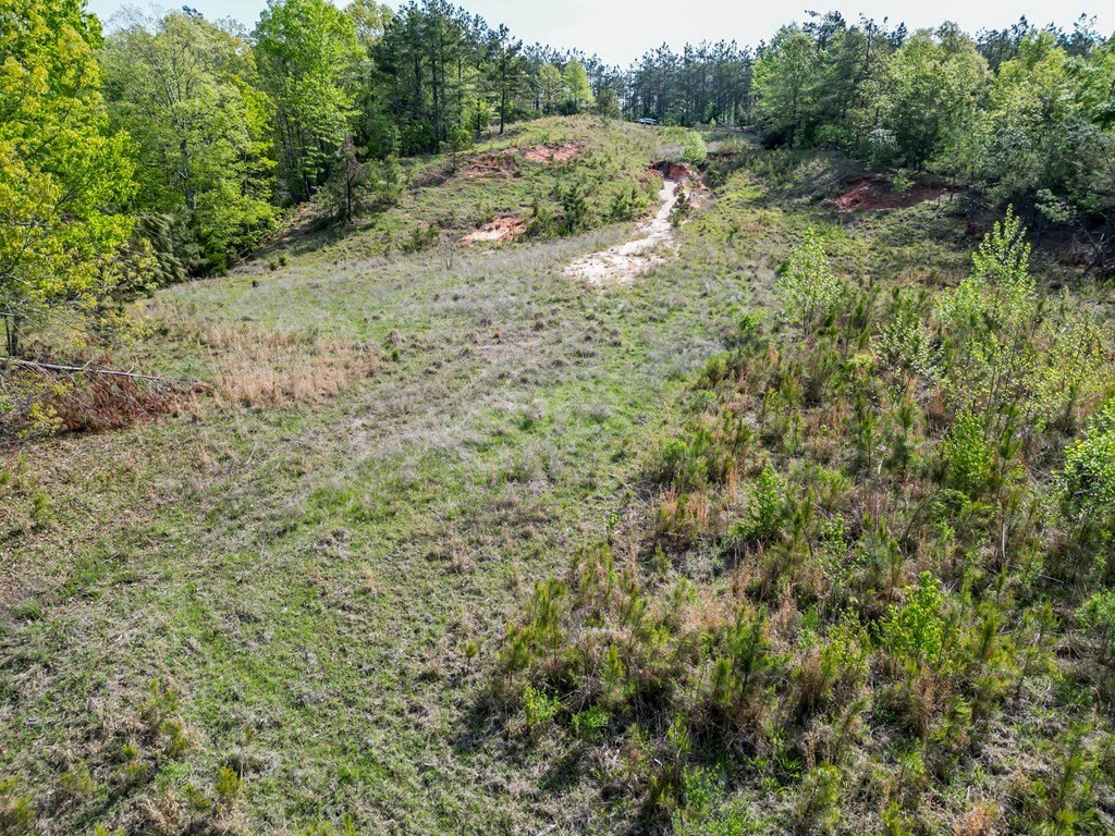 Picture 6