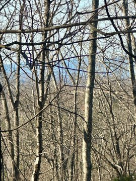 Vacant Lot, Blue Ridge, GA