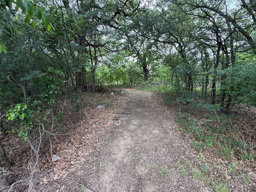 Picture 22