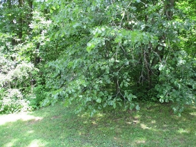 Picture 13