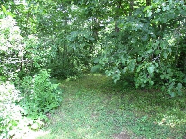 Picture 12