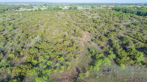 Clyde, TX Unimproved Land