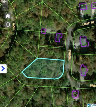 LAND/LOTS, SOUTHSIDE, AL