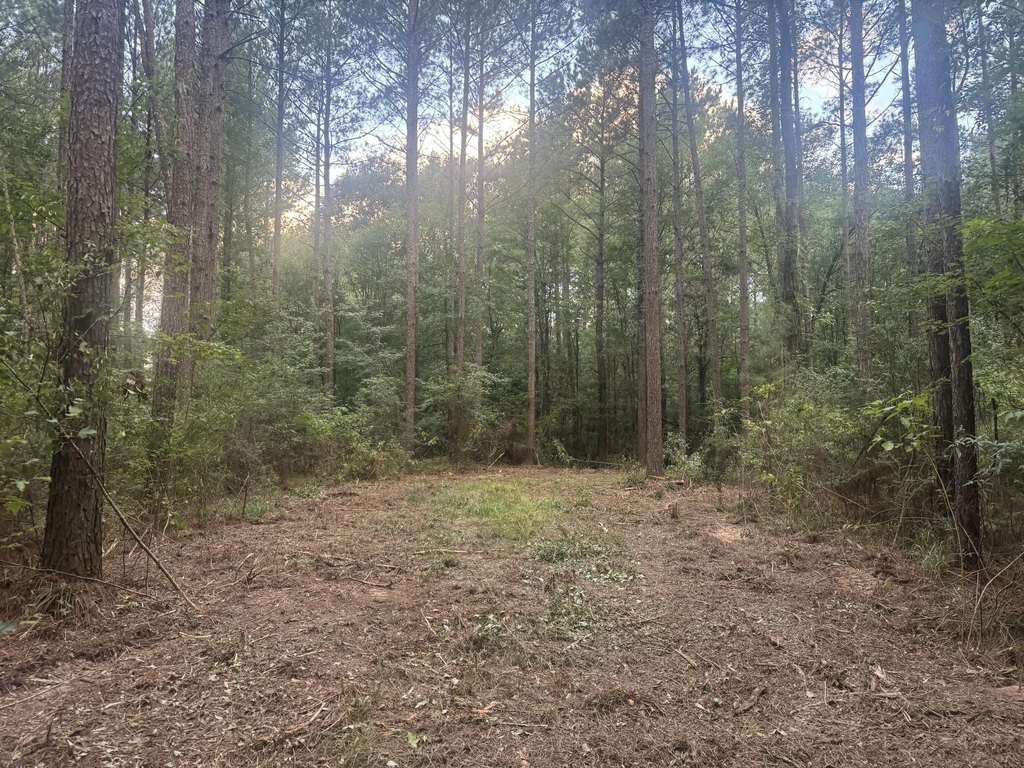 Picture 5