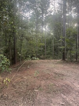 LAND - Petal, MS