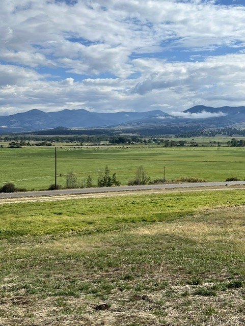 Picture 18