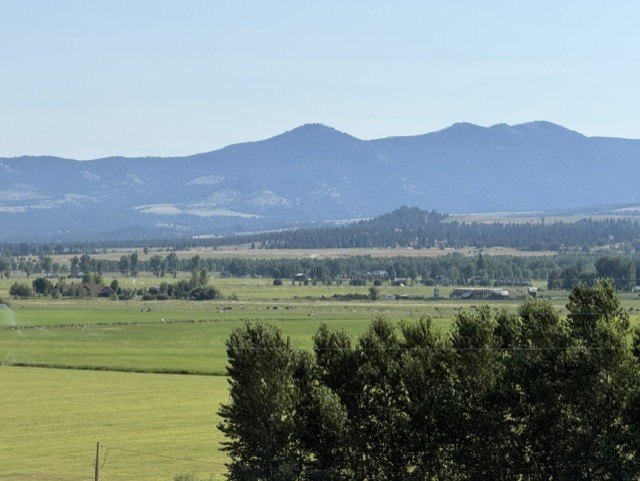 Picture 20