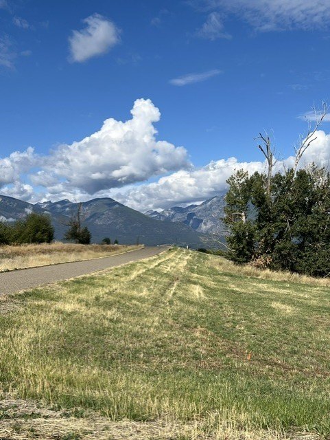 Picture 20