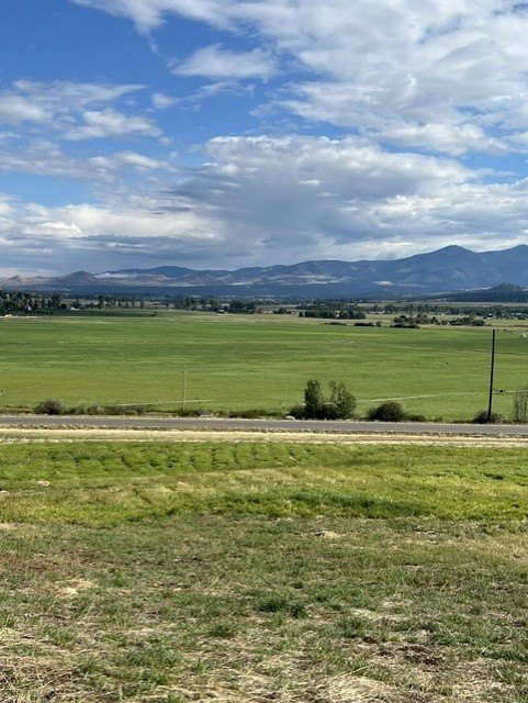 Picture 26