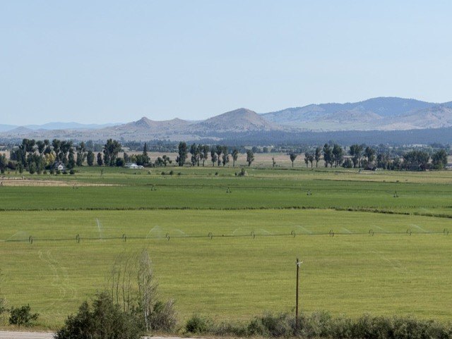 Picture 17