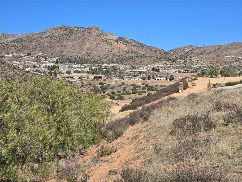 Picture 22