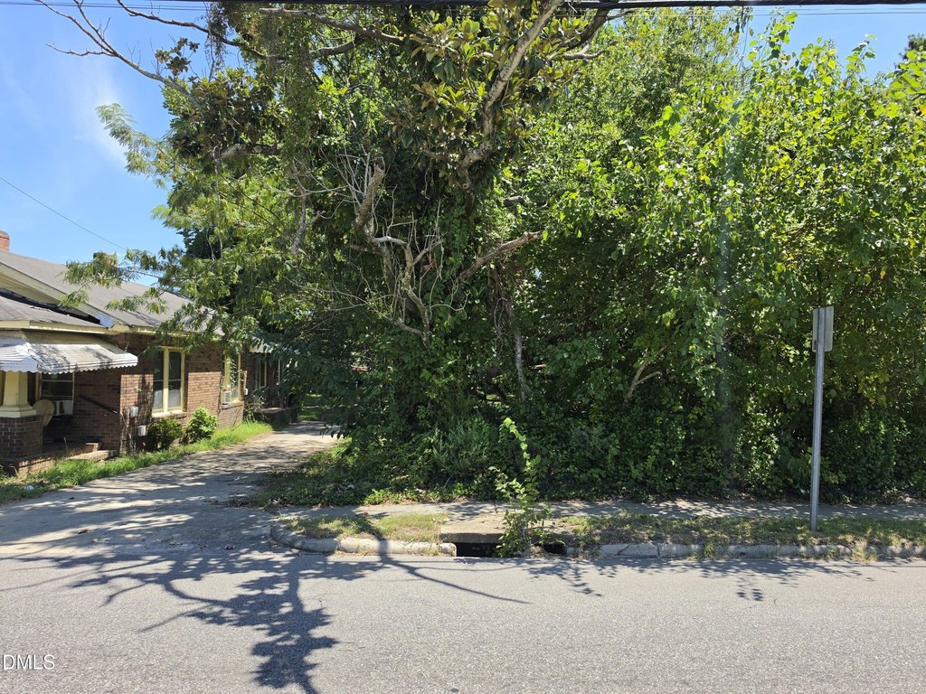 Picture 21