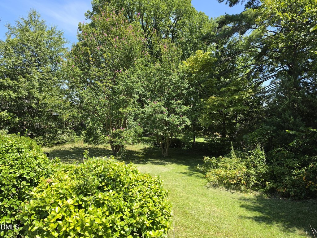 Picture 29