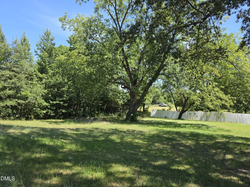 Picture 27