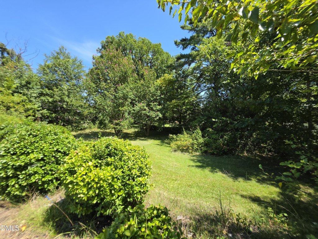 Picture 30