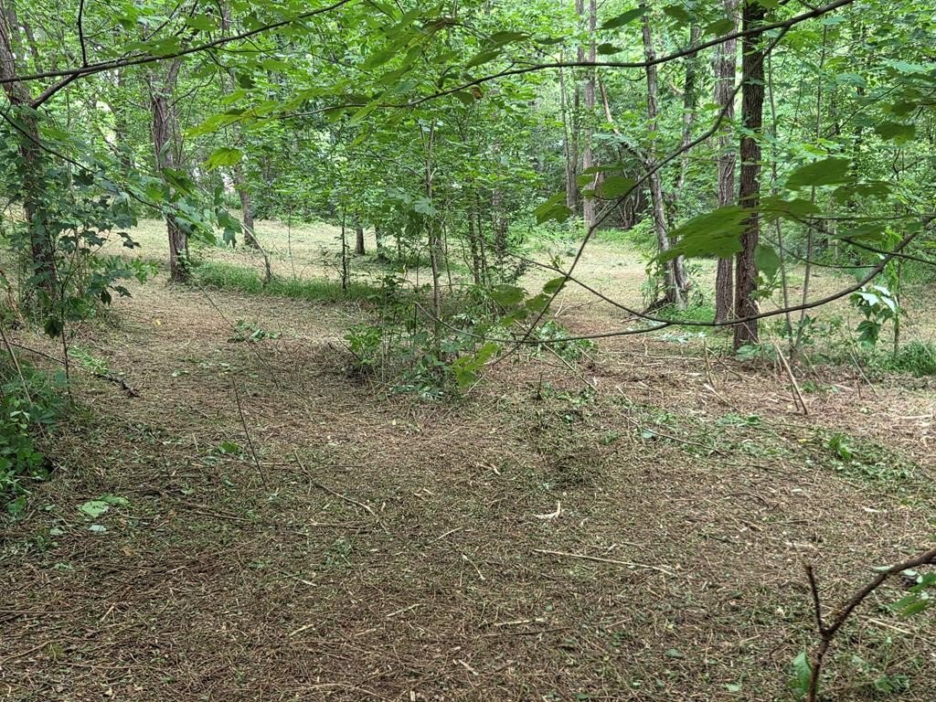 Picture 8