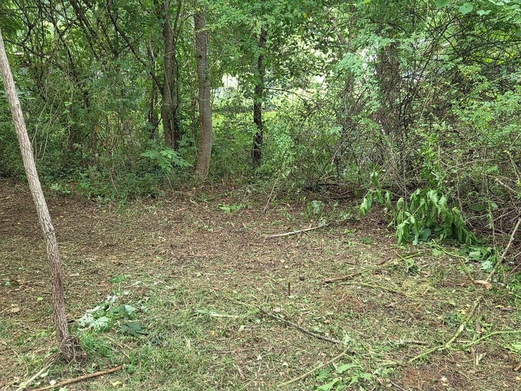 Picture 6