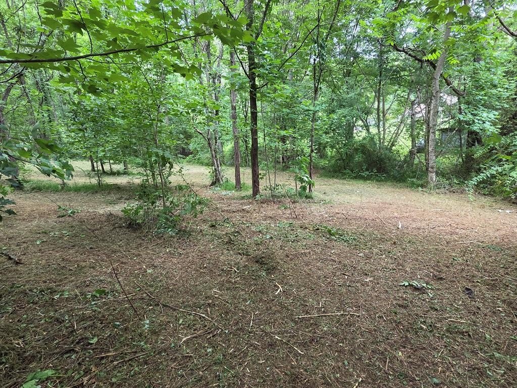 Picture 10