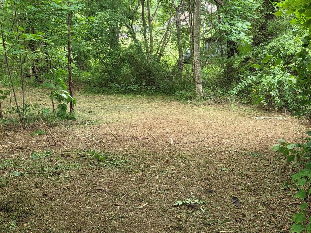 Picture 9