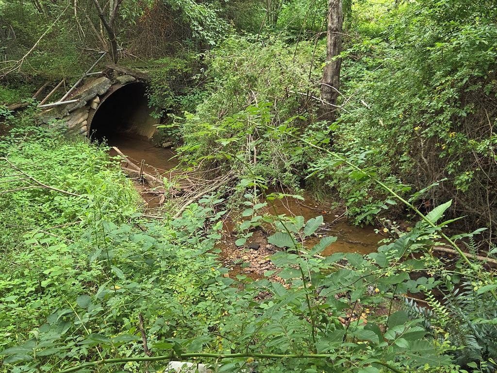 Picture 13