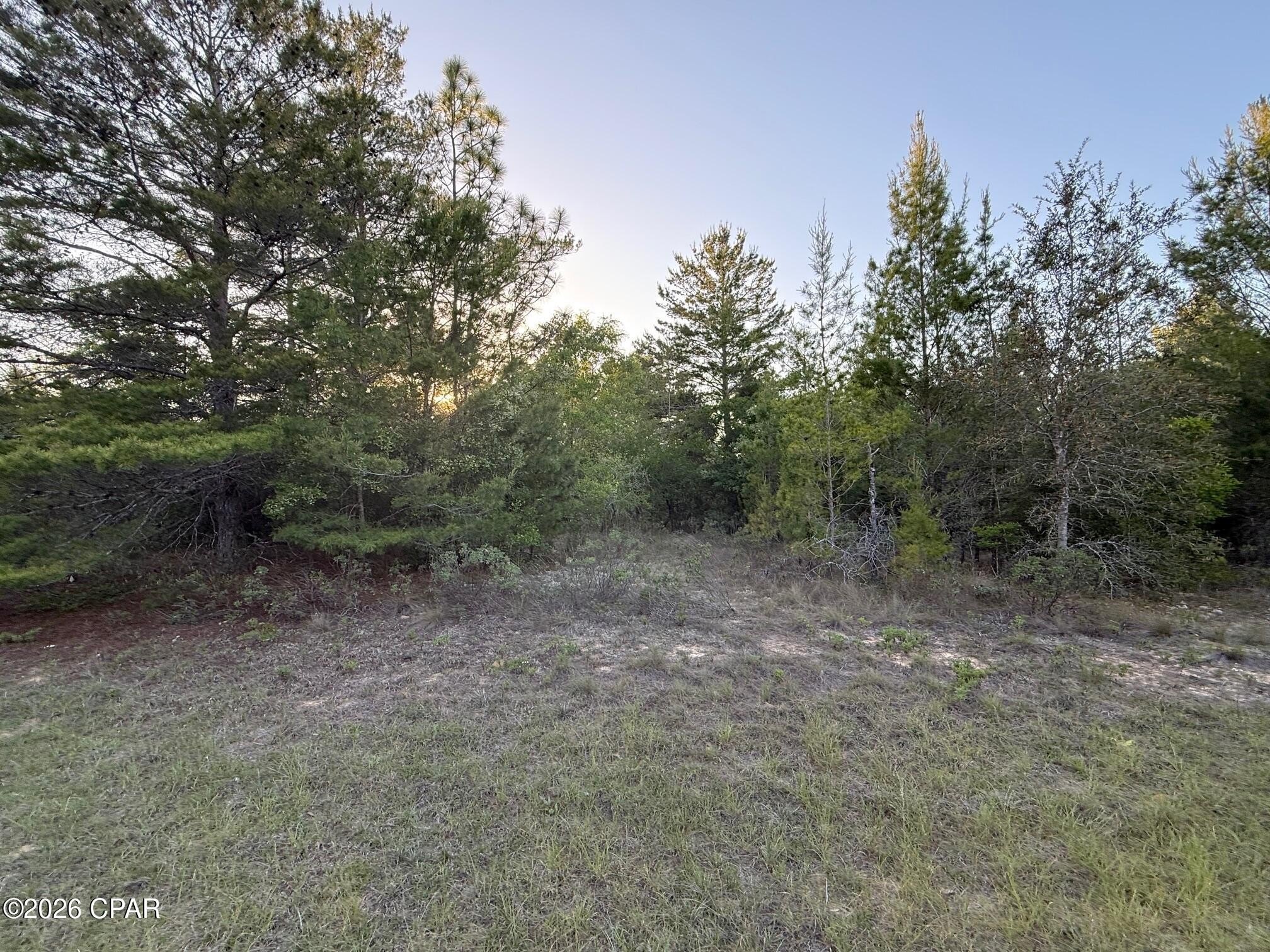 Flat Lot in Sunny Hills