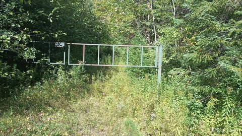 Wooded Land Parcel