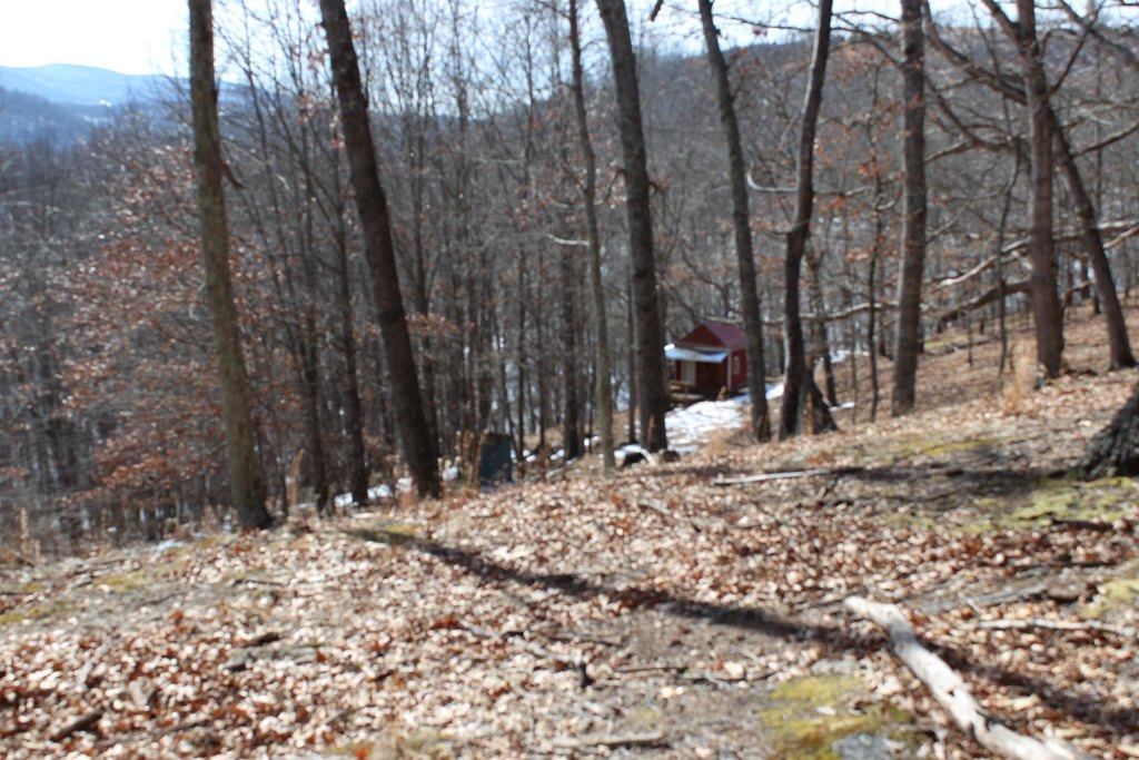 Picture 9