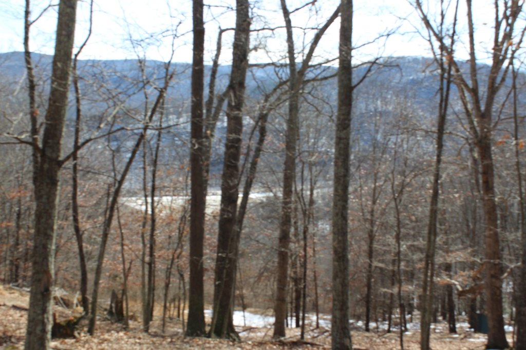 Picture 14