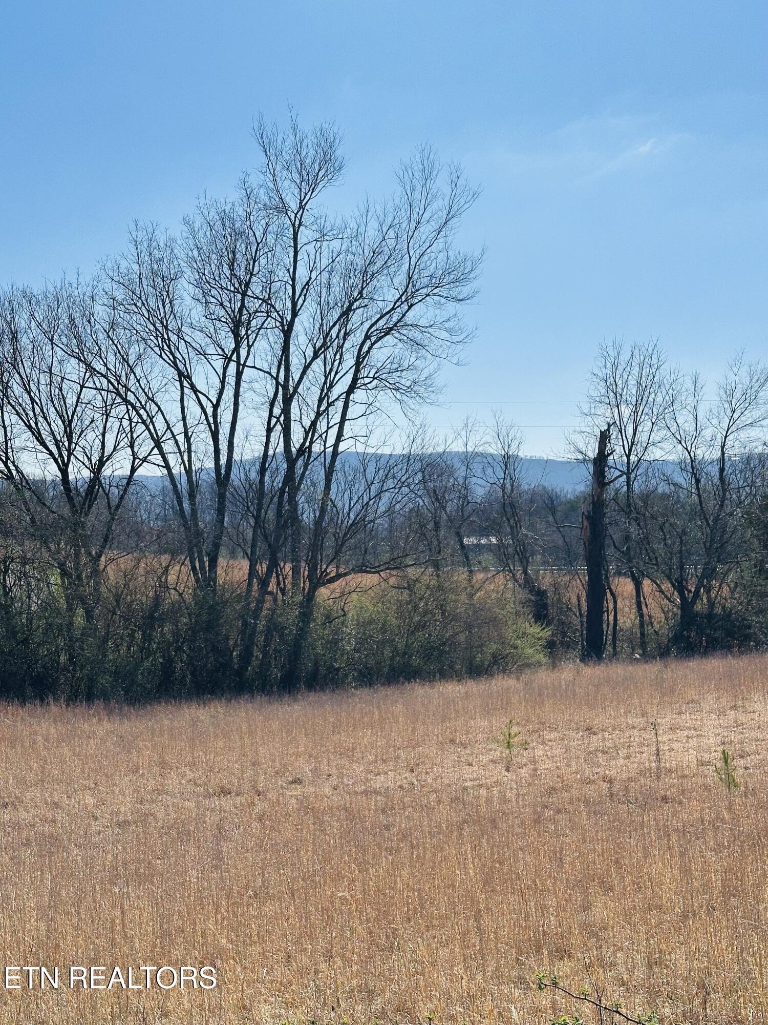 Pikeville, TN Land For Sale