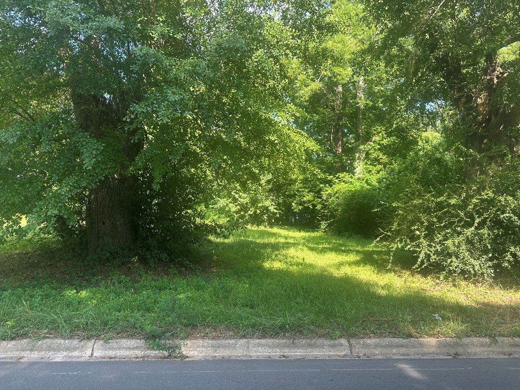 Picture 3