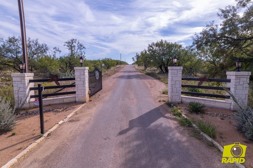Picture 25