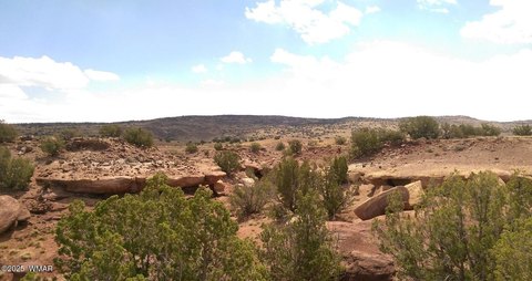 Concho, AZ 10-Acre Land