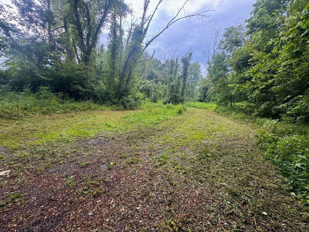 Picture 8