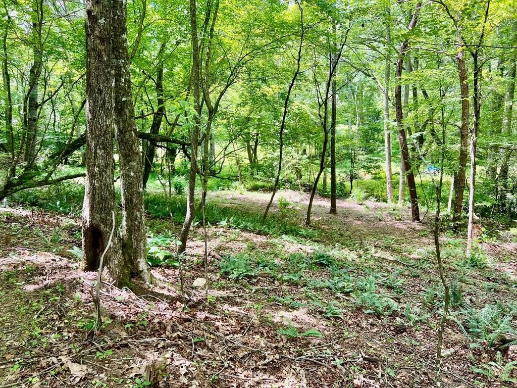 Blairsville Vacant Lot Ready to Build