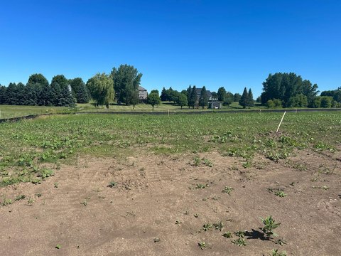 LAND - Kasson, MN