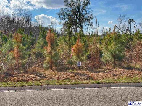 Residential Lot in Latta, SC