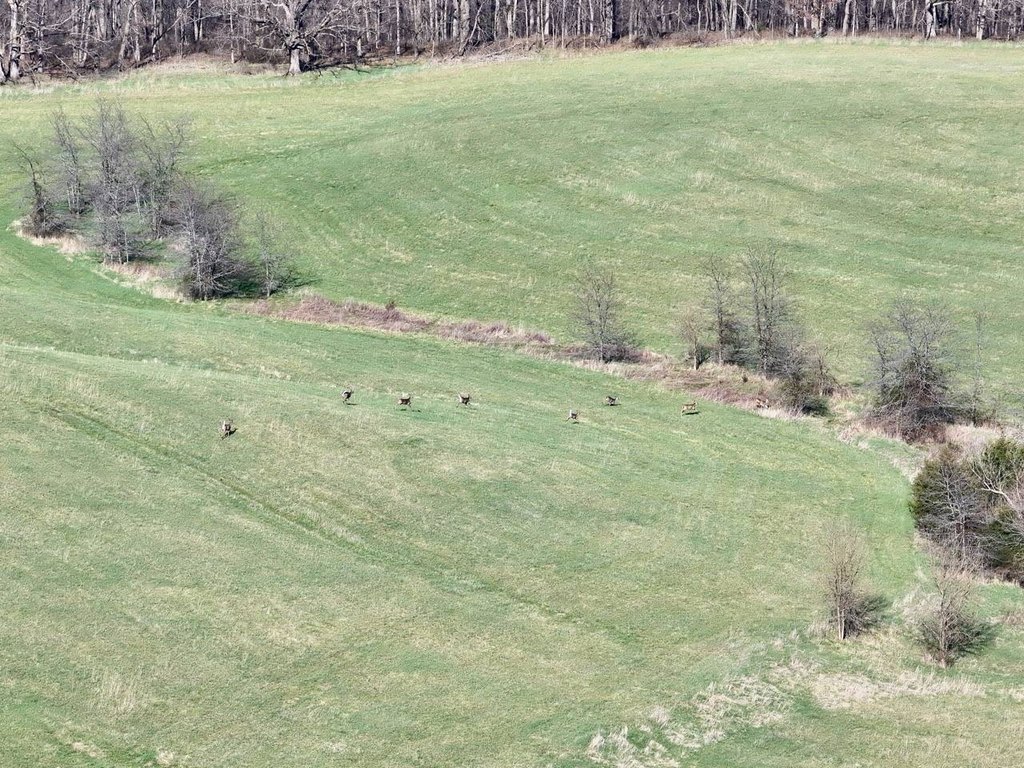 Picture 12
