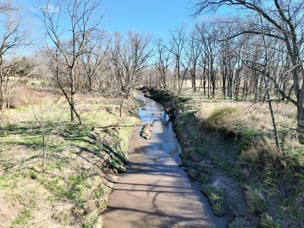 Picture 19