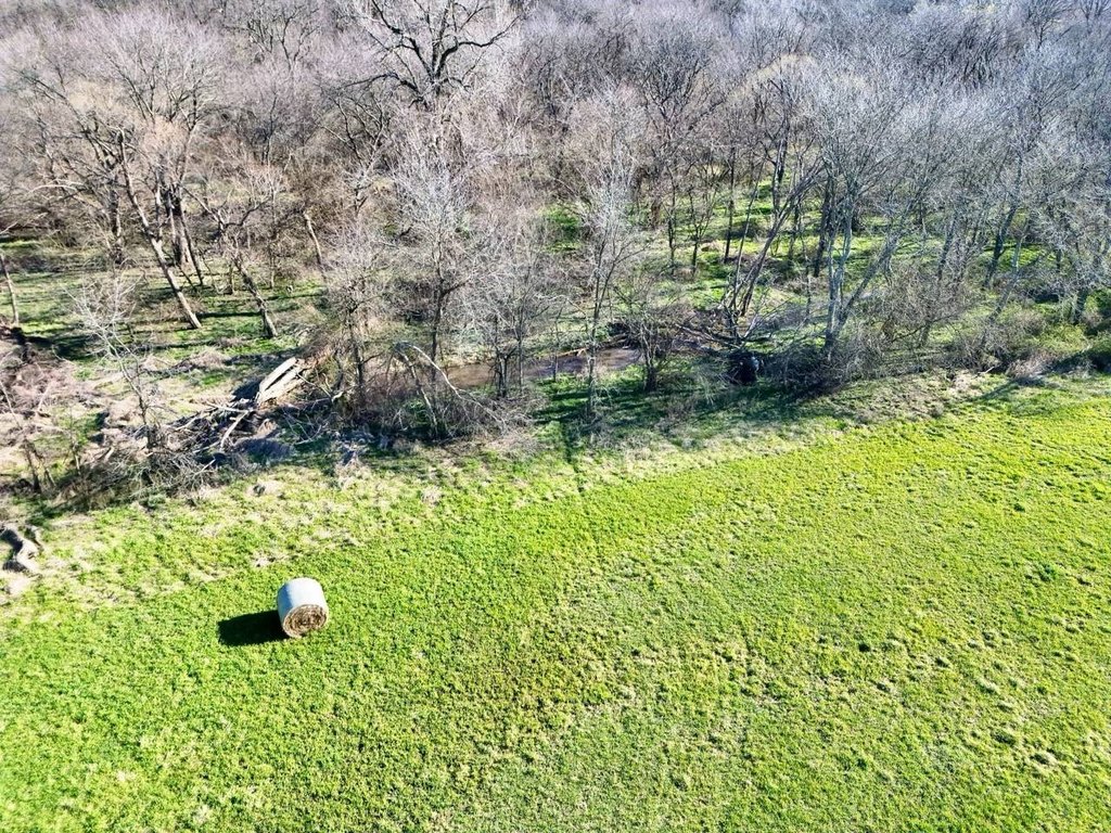 Picture 24