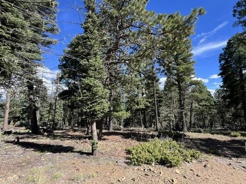 Land, Angel Fire, NM