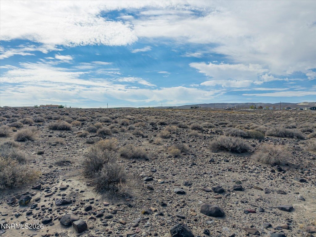Picture 7