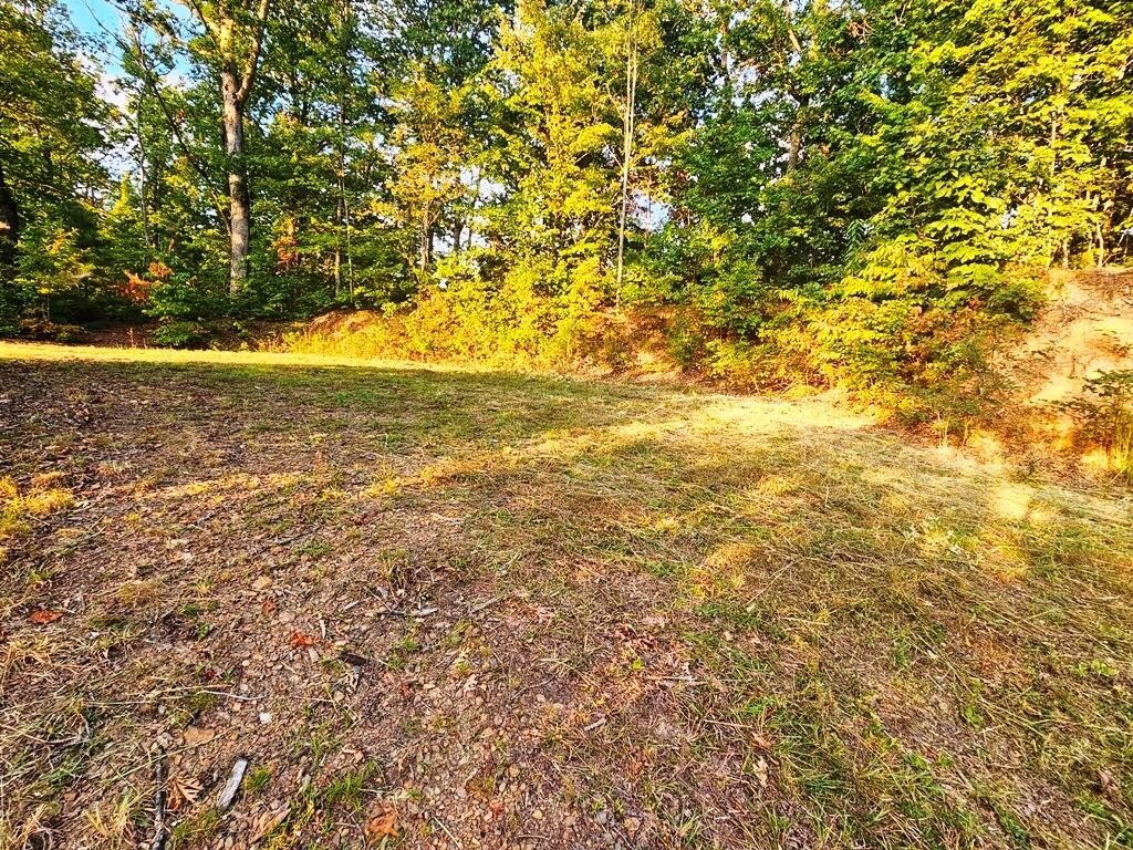 Picture 32