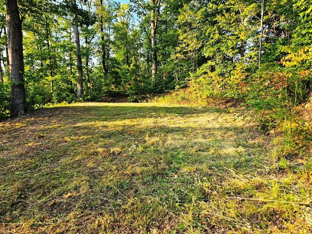 Picture 25