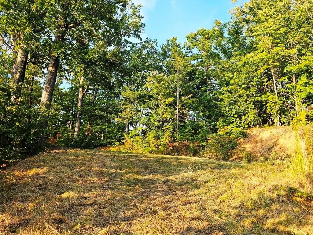 Picture 23