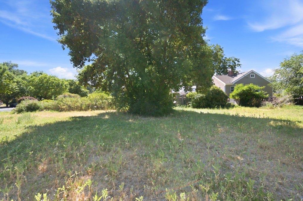 Picture 41