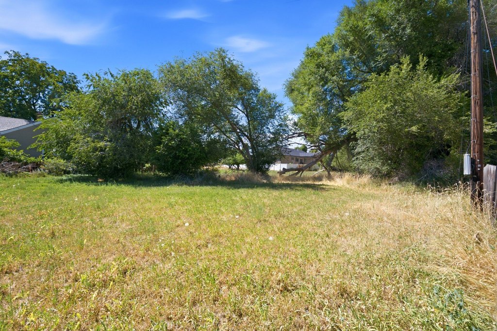 Picture 17